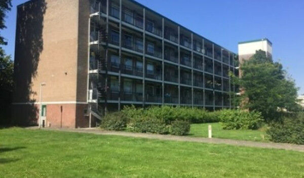 Banckertlaan